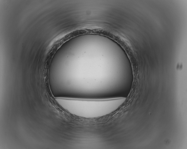X0000090900920200707301008