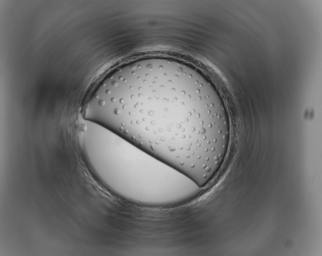 X0000090900921200707301008