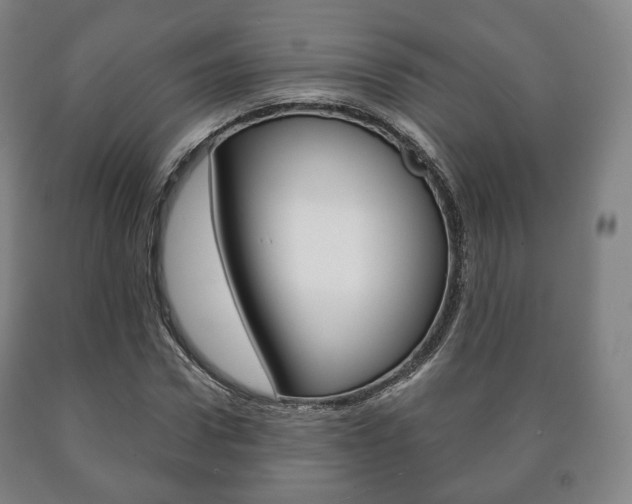 X0000090900922200707301008