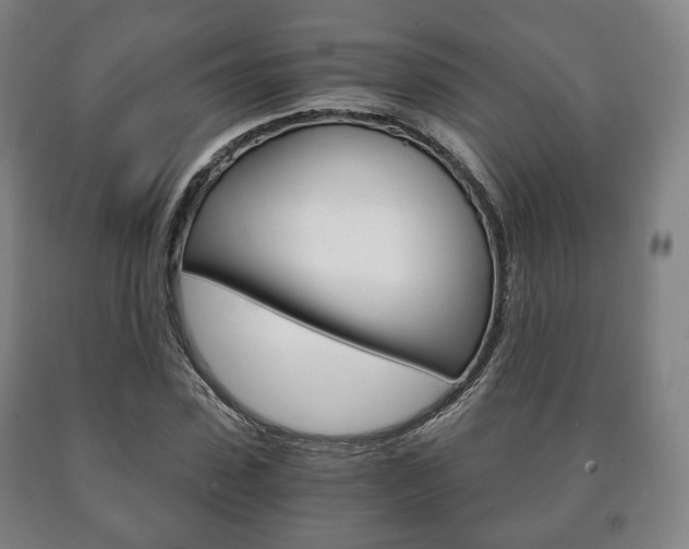 X0000090900923200707301008