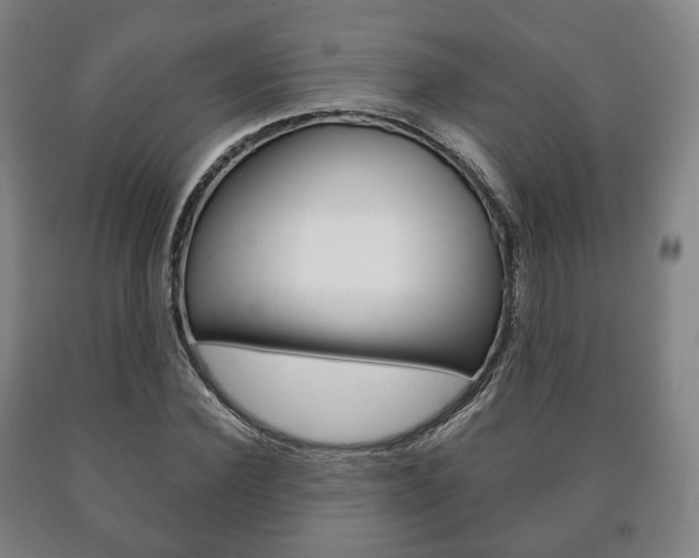 X0000090900924200707301008