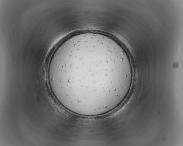 X0000090900925200707301008