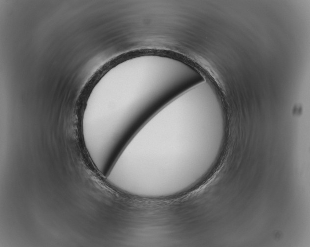 X0000090900926200707301008