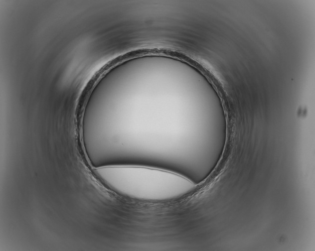 X0000090900927200707301008