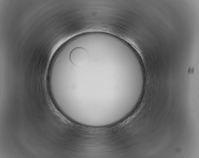 X0000090900928200707301008