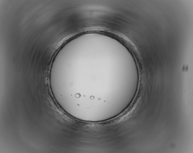 X0000090900929200707301008