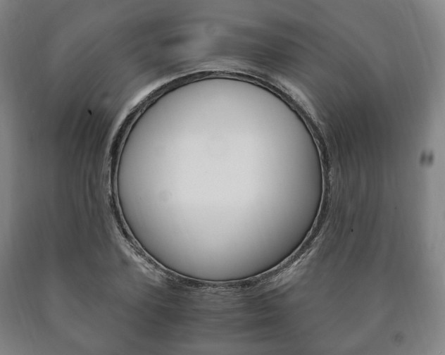 X0000090900931200707301008