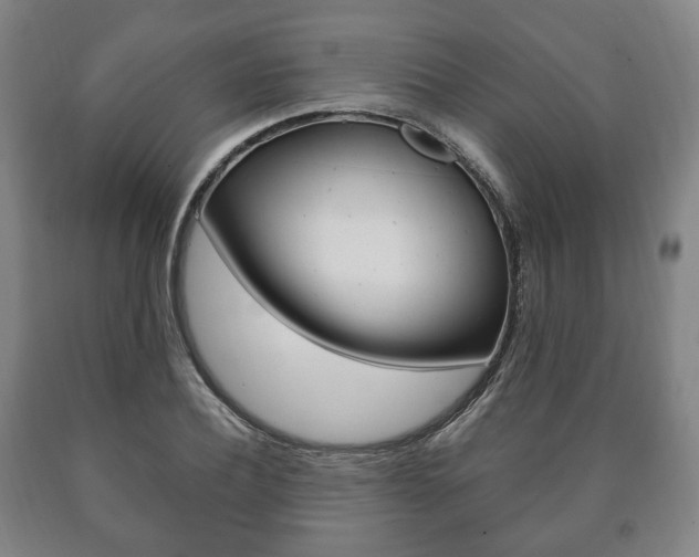 X0000090900932200707301008