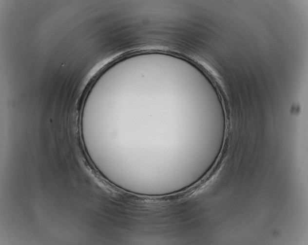 X0000090900933200707301008