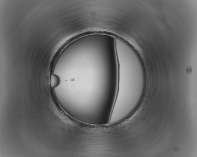 X0000090900934200707301008