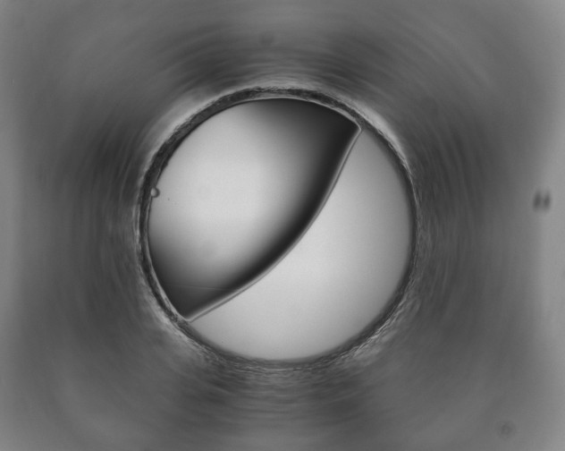 X0000090900935200707301008