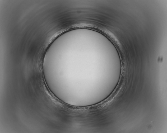 X0000090900937200707301008