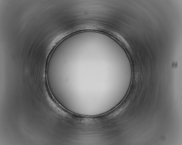 X0000090900938200707301008
