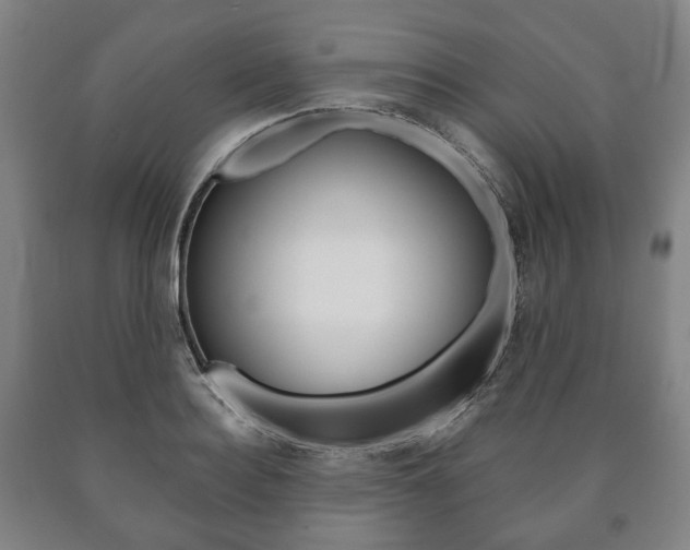 X0000090900940200707301008