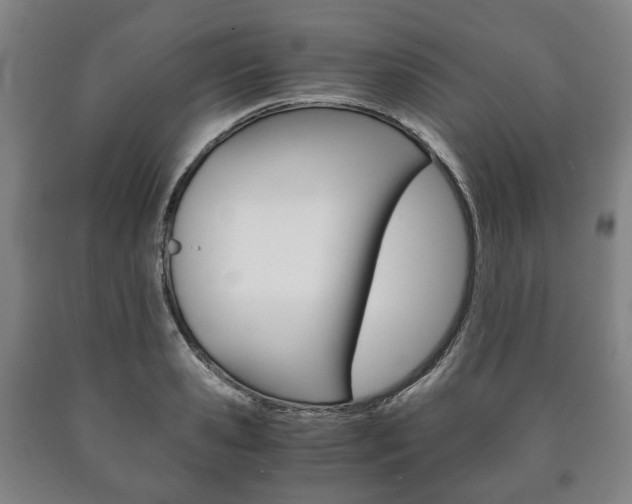 X0000090900941200707301008