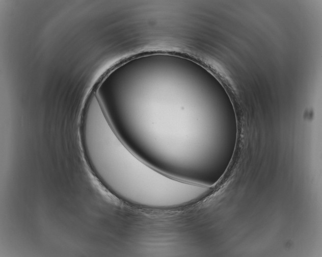 X0000090900942200707301008