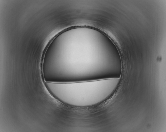 X0000090900943200707301008