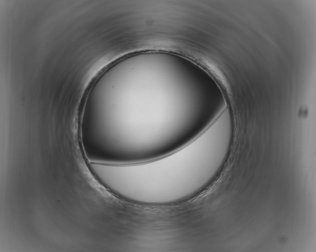 X0000090900944200707301008