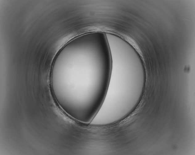 X0000090900946200707301008