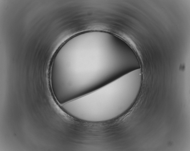 X0000090900947200707301008