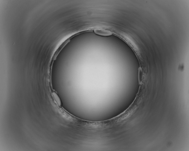 X0000090900948200707301008