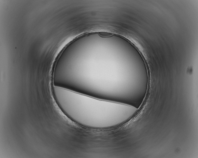 X0000090900949200707301008