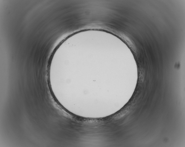X0000090900950200707301008