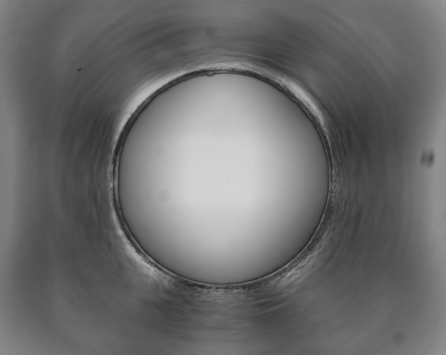 X0000090900951200707301008