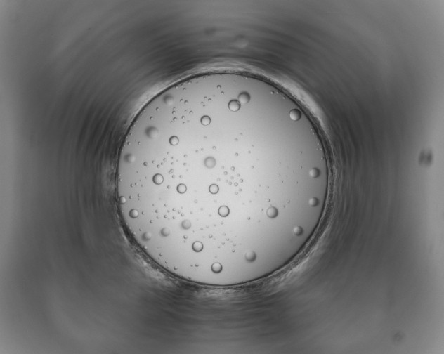 X0000090900953200707301008