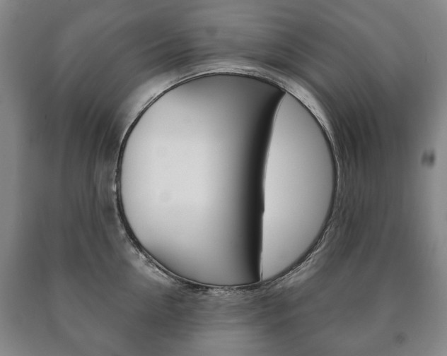 X0000090900954200707301008