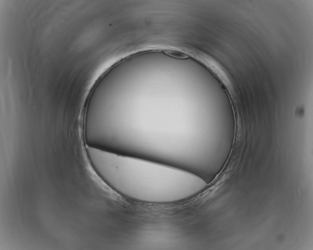 X0000090900958200707301008