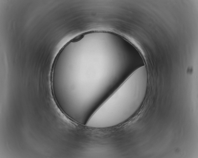X0000090900959200707301008