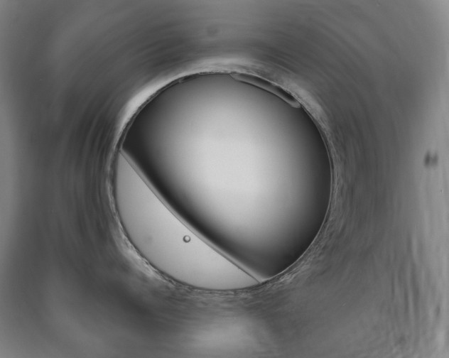 X0000090900960200707301008
