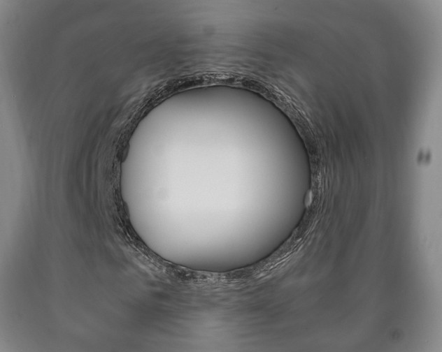 X0000090900961200707301008