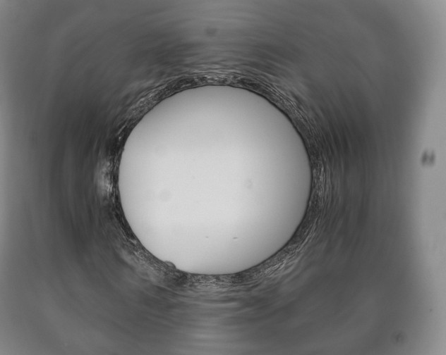 X0000090900962200707301008