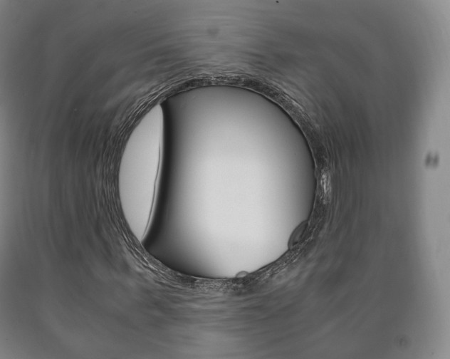 X0000090900963200707301008