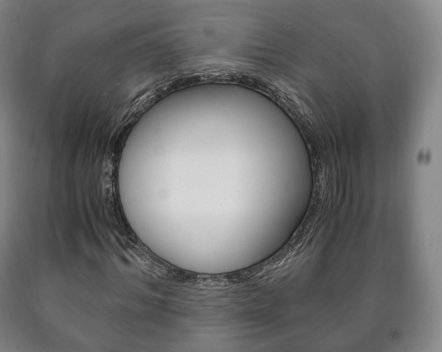 X0000090900964200707301008