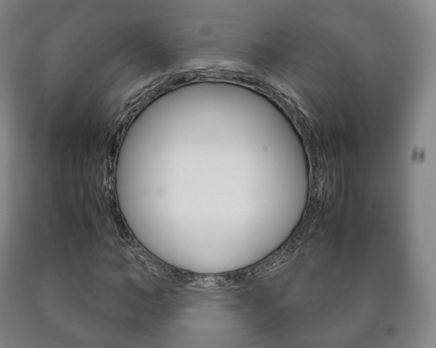 X0000090900966200707301008
