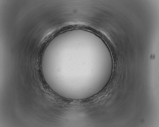 X0000090900967200707301008