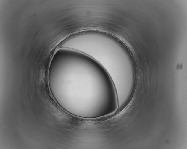 X0000090900969200707301008