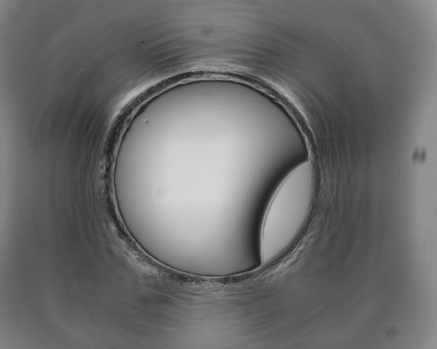 X0000090900971200707301008