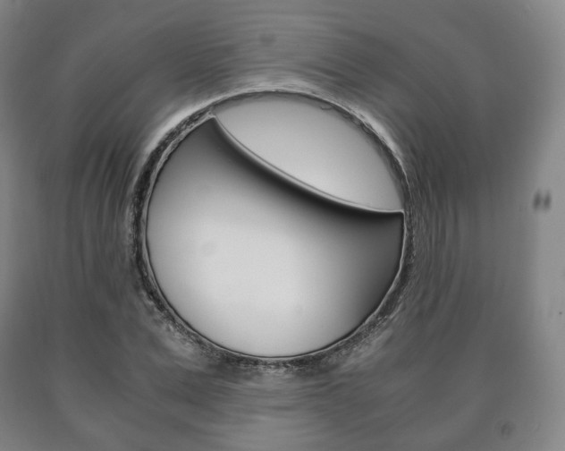 X0000090900975200707301008