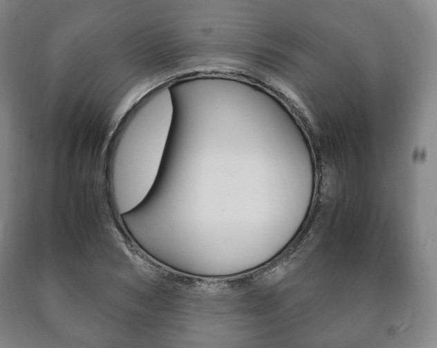 X0000090900978200707301008