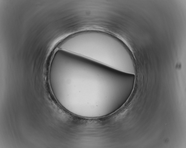 X0000090900979200707301007
