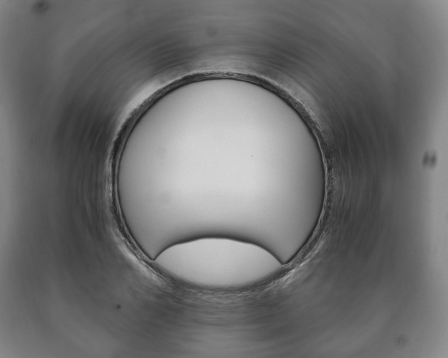 X0000090900982200707301007