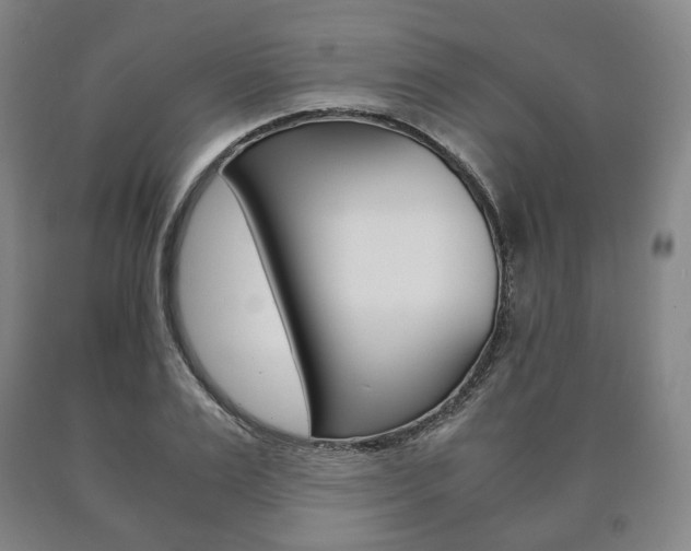 X0000090900983200707301007