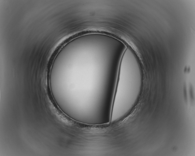 X0000090900984200707301007