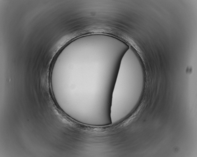 X0000090900986200707301007