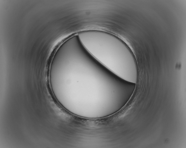 X0000090900987200707301007