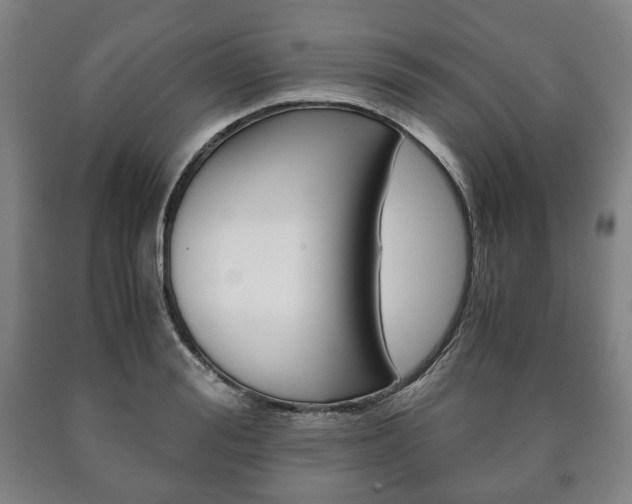 X0000090900988200707301007